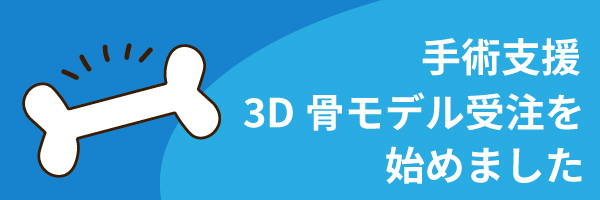 3D骨モデルの受注について